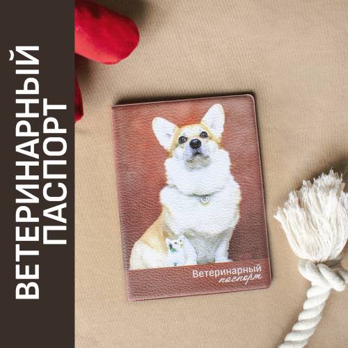 Ветеринарный паспорт